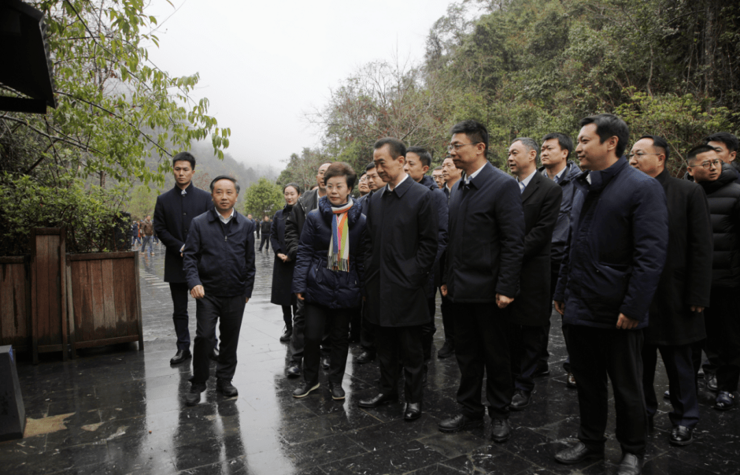 万达集团董事长王健林一行赴荔波县调研考察_景区_旅游_乡村