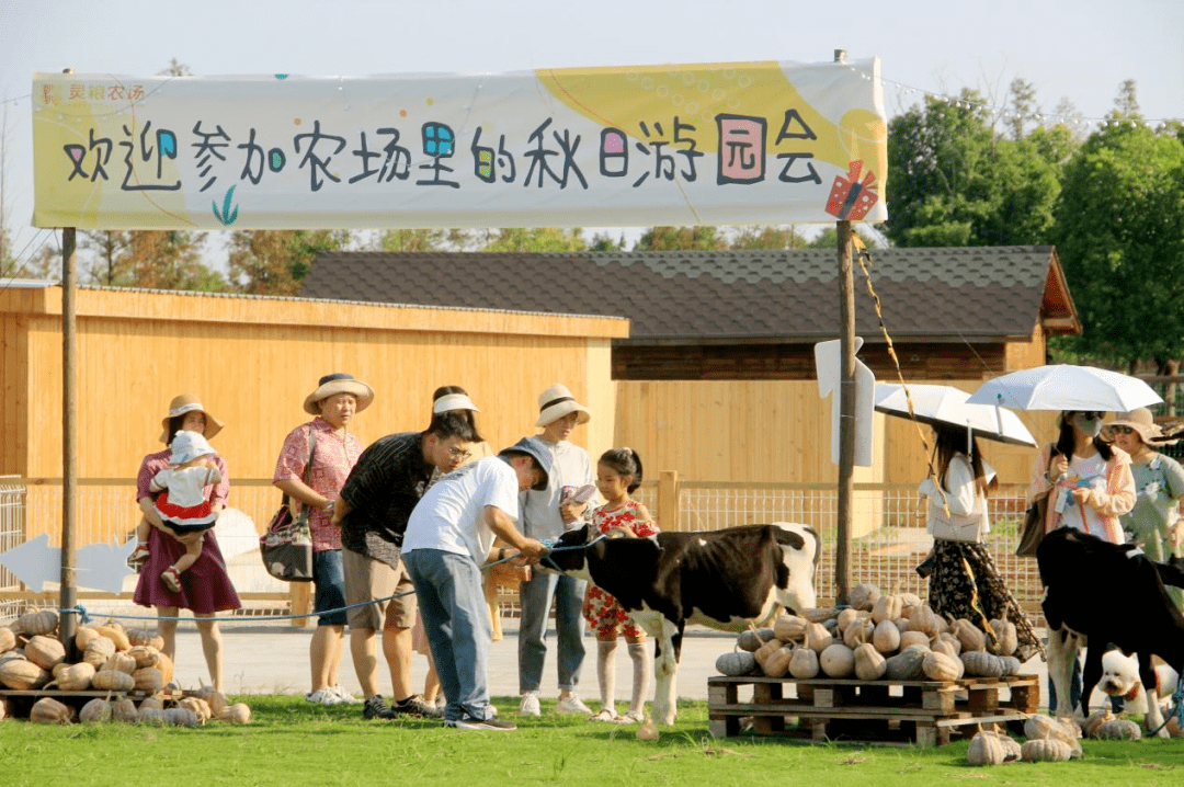 微改造 精提升丨灵粮生态农场景区品质再升级!_游客_进行_区域