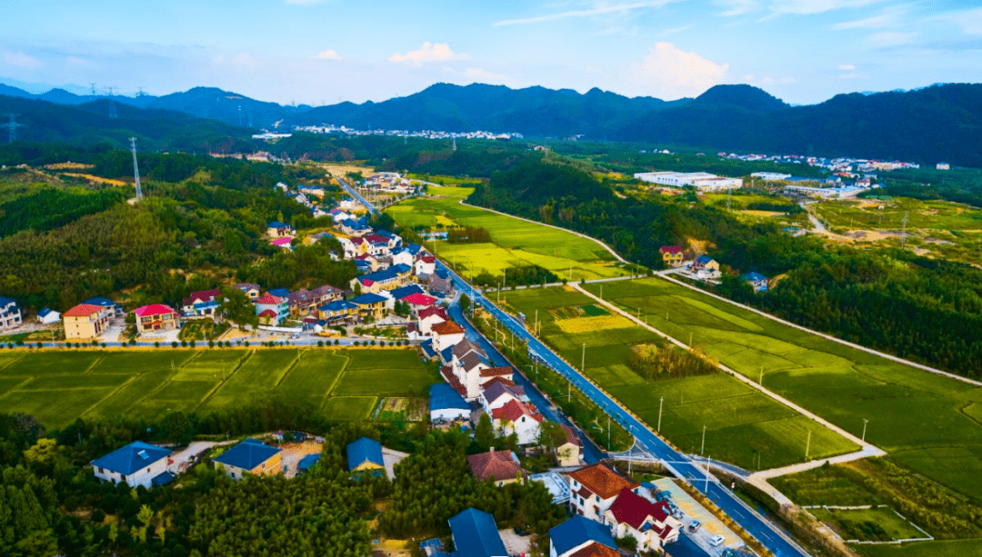 村庄变"景区,春游好去处!_旅游_临安_秀村