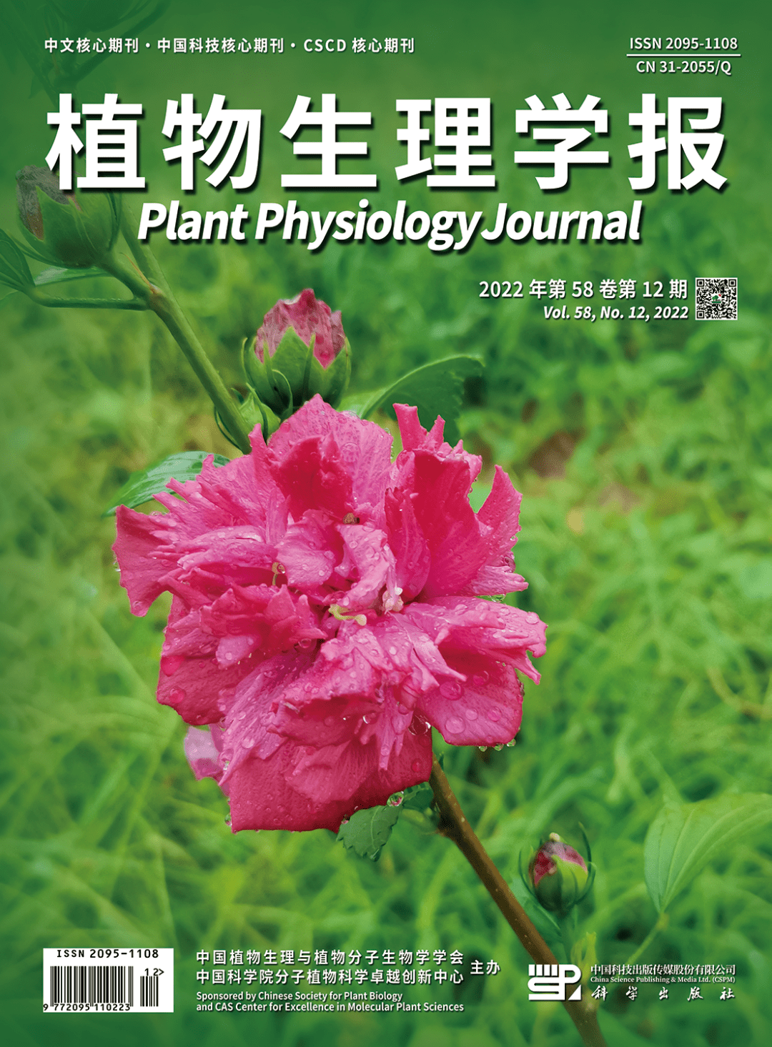 植物生理学报2022年第58卷第12期出版_ppj_https_cnki
