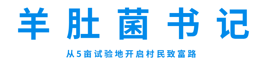 他们太“土”了居然用果蔬为自己命名……(图7)