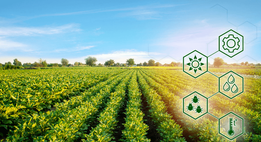 高光谱遥感技术在智慧农业中的应用研究-莱森光学_农作物_监测_小麦