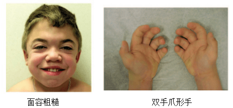 诊断_治疗_多糖