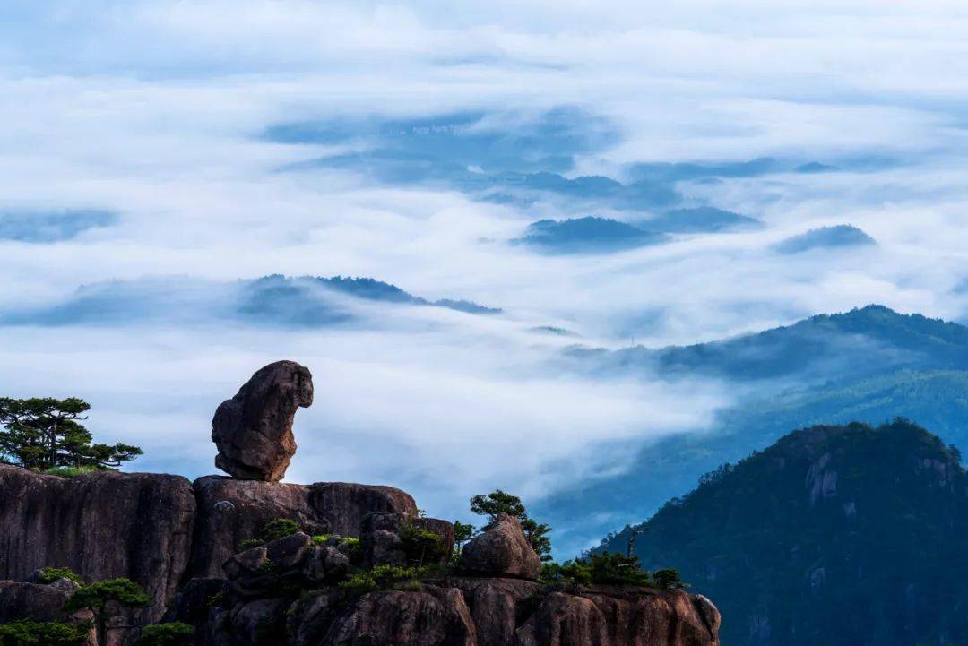 黄山风景区职工姚育青摄影作品《静》荣获第二届金鼎奖优秀奖_大赛