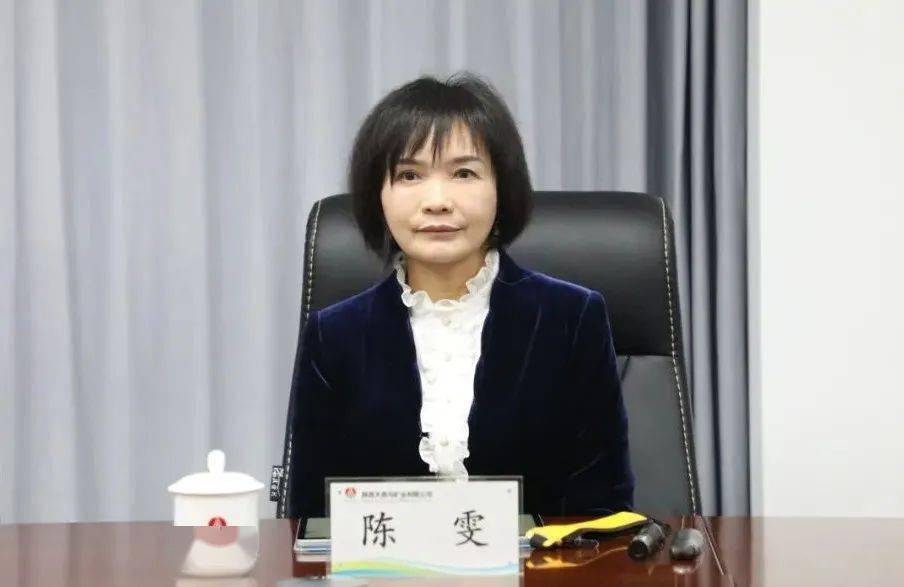 陕钢集团召开大西沟菱铁矿低成本开发领导小组会议_建设_项目_矿业