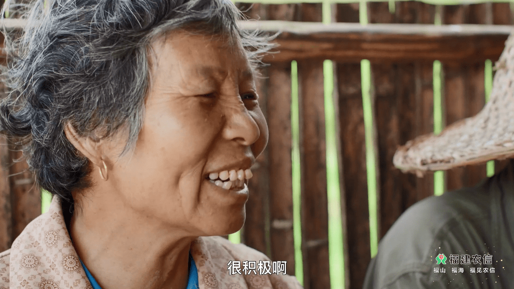 90后女孩的"稻香":种田,拍纪录片,搞音乐……_白晓洋_梯田_屏南