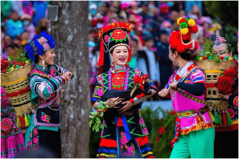 四海宾朋共聚昙华彝族插花节 以山花之名谱浪漫赞歌_文化_彝家_楚雄