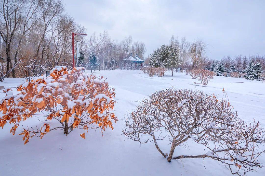 三月的雪花能够有多都雅