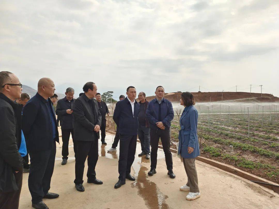 宁南县高端网站建设_(宁南县高端网站建设项目)