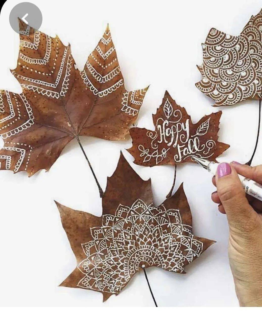 哪怕只在树叶上只画出叶脉的纹理或简单只上几种颜色点上