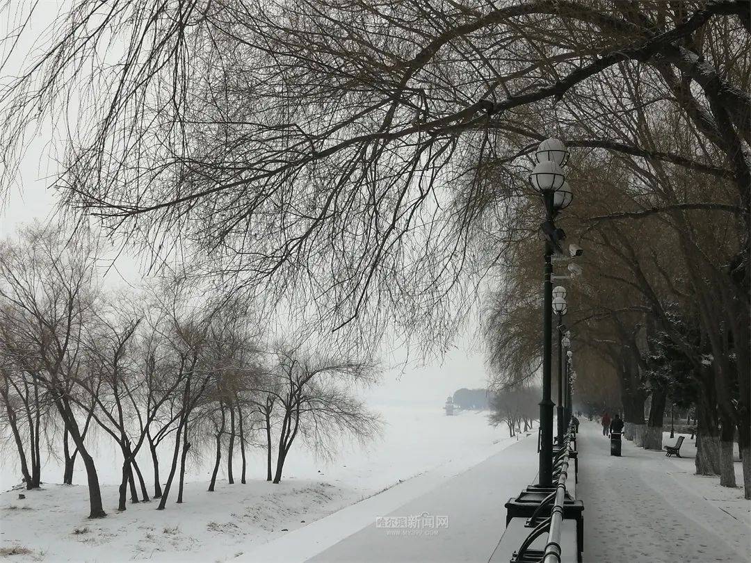 三月的雪花能够有多都雅