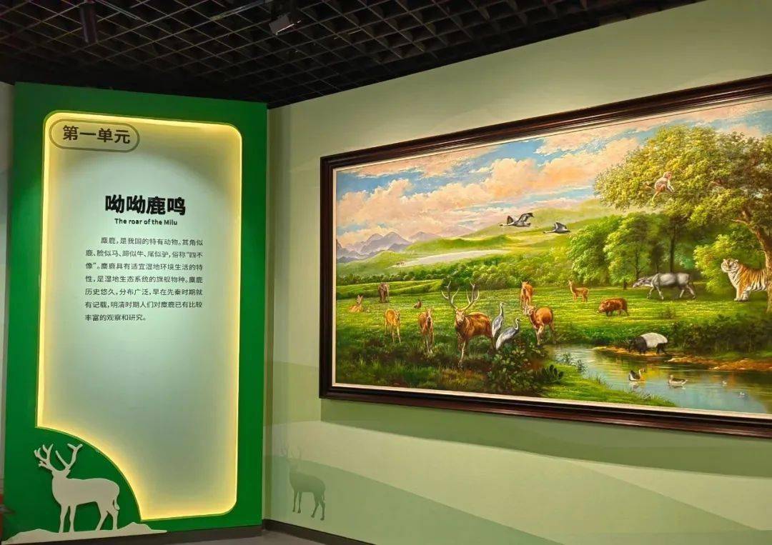 南海子麋鹿苑博物馆新展开幕!