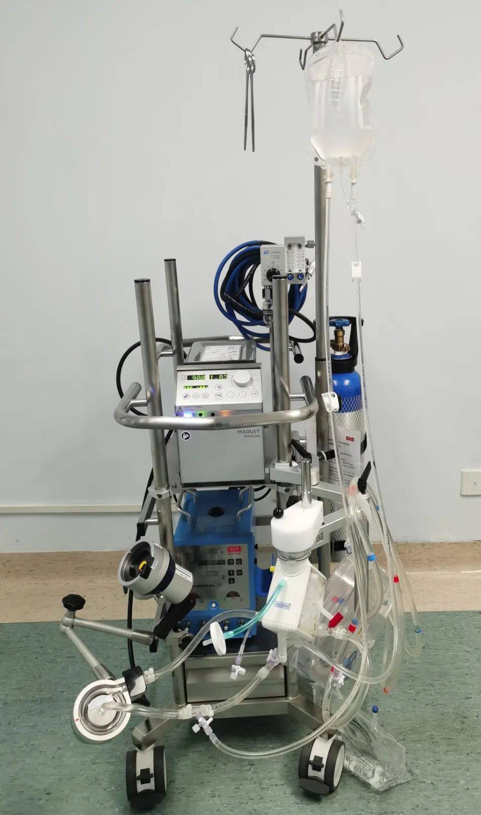 重症鹦鹉热患者命悬一线,ecmo成"救命神器"_梁伯_救治_小榄