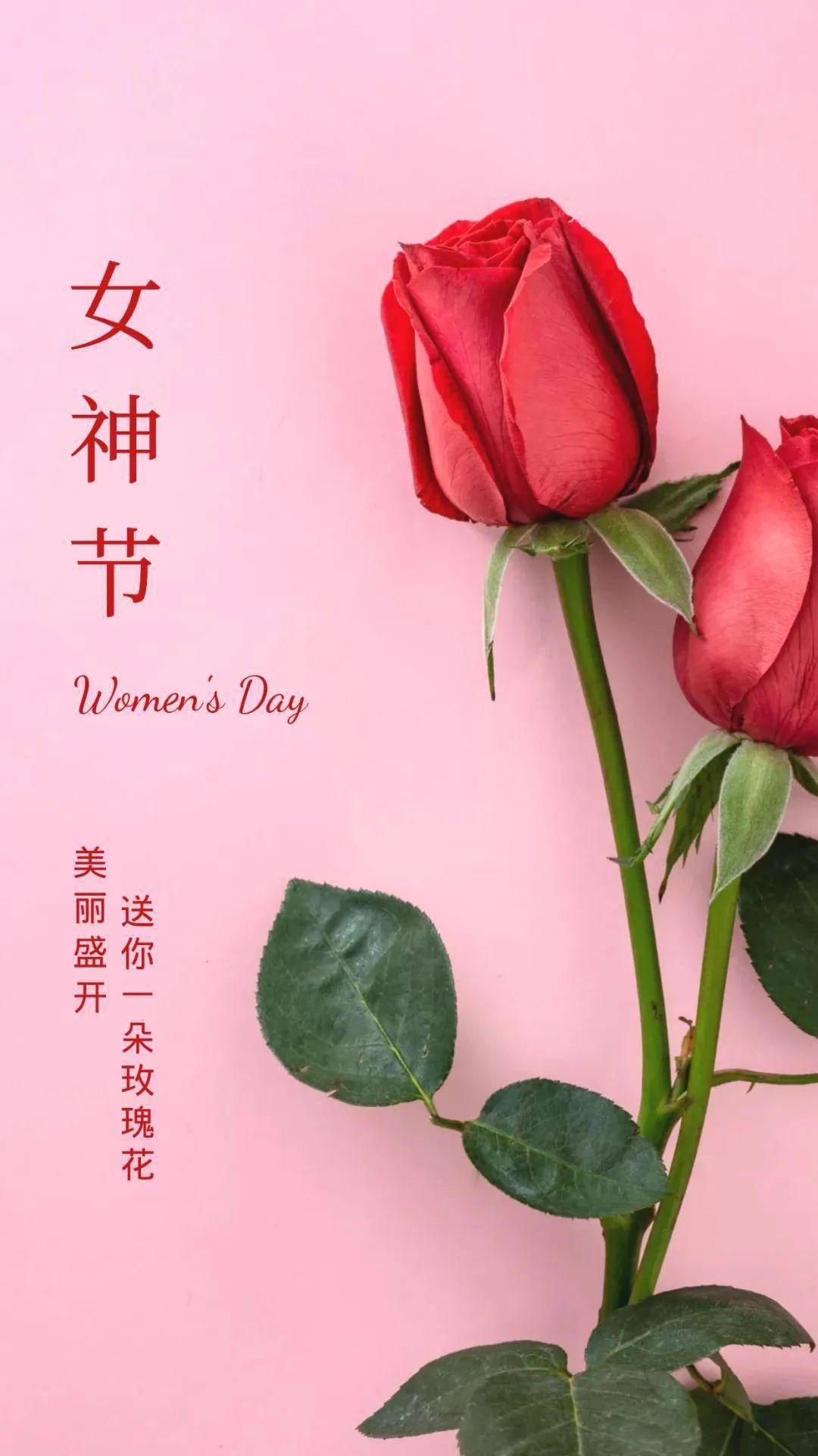 女生节图片海报图片