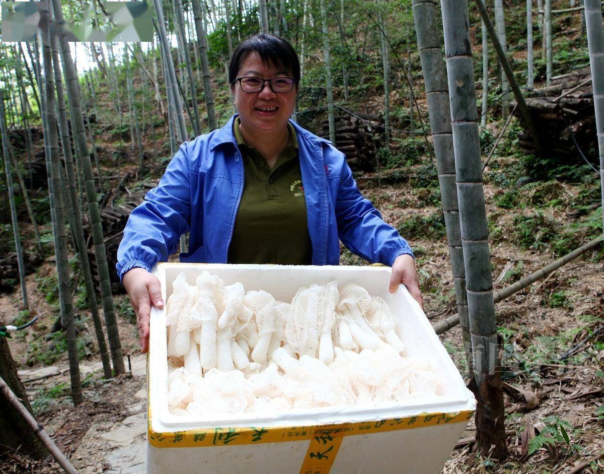 感动中国2022年度人物杨宁 图1