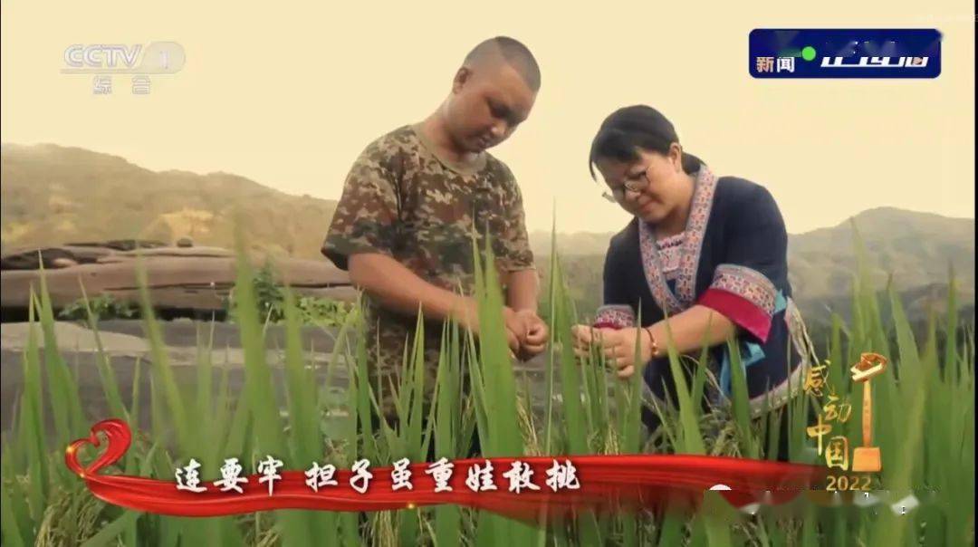 杨宁当选感动中国2022年度人物_江门_攻坚_安陲乡