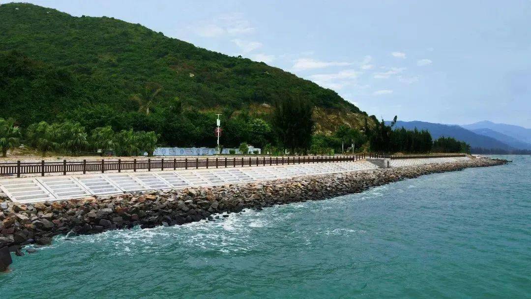 以"绿色发展"为墨 绘就海域海岛"生态美"_川岛镇_保护_广东台山