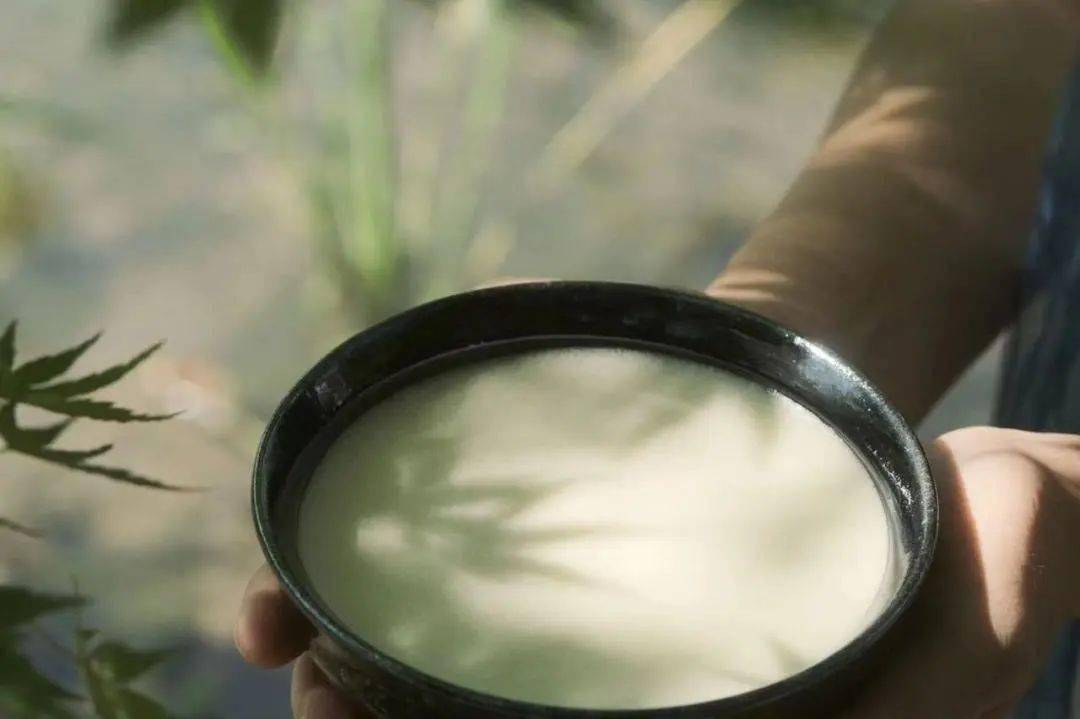 风雅的朝代吃喝也是一门艺术"诗写梅花月,茶煎谷雨春""雪沫乳花浮午盏