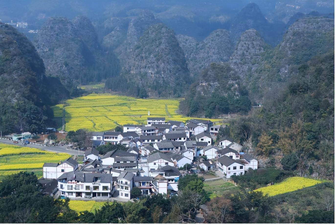 【康養勝地 人文興義】奮進的春天 | 金色花海 匯成絕美畫篇_萬峰林