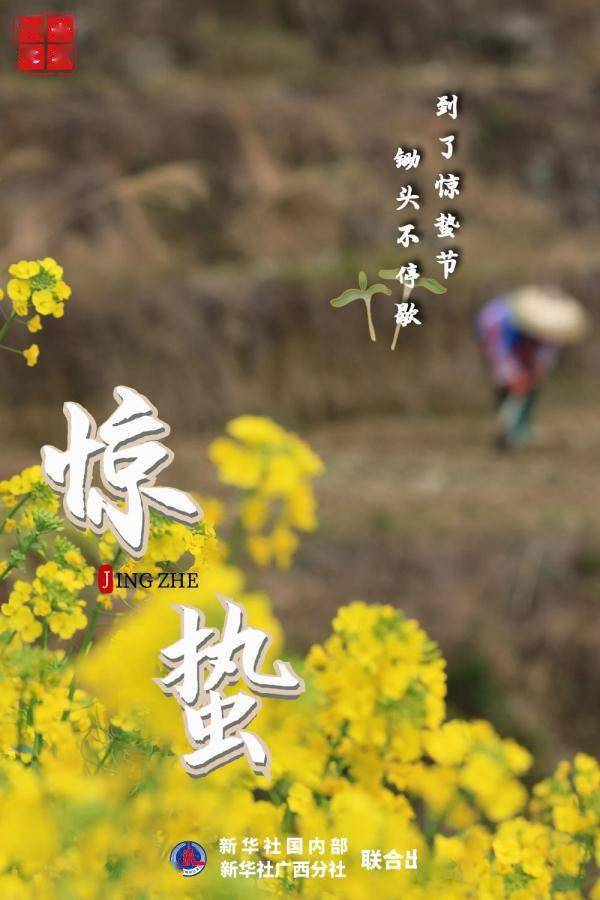 麻利树（麻利树生长在哪里） 第3张