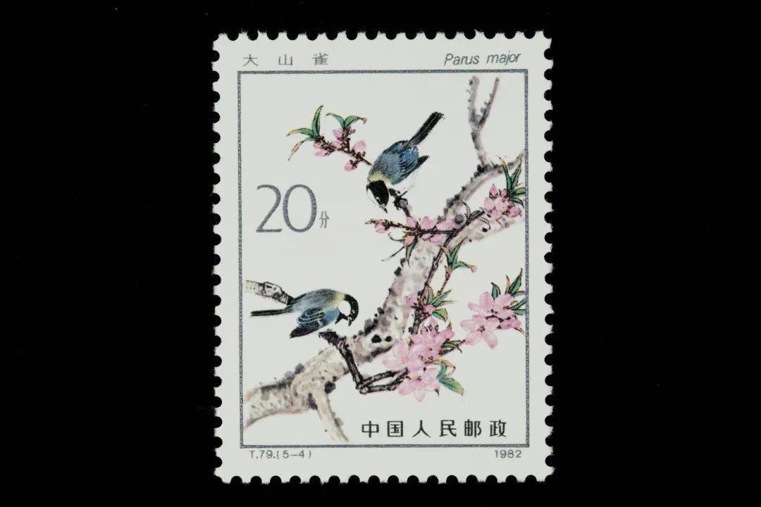 这是一个充满希望和生机的节气,世间万物皆沐浴在春的恩泽中,正所谓"