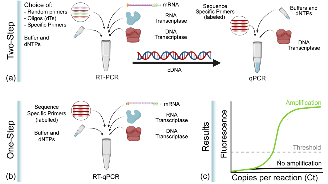 pcr,qpcr,rt-pcr,rt-qpcr,real-time pcr你真的能区分开吗?