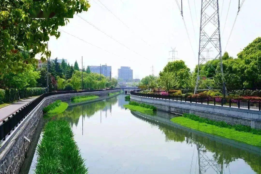 "园"来如此丨第十四站,河边漫步白遗桥公园_绿化_景观_静安区