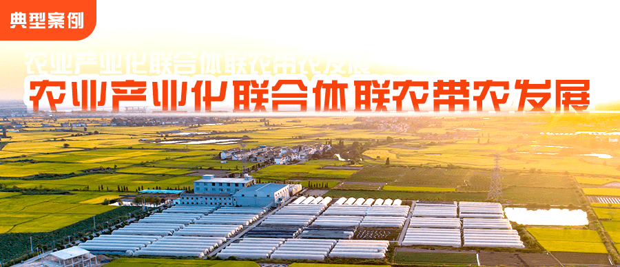 典型案例——农业产业化联合体联农带农发展为加大对农业产业化