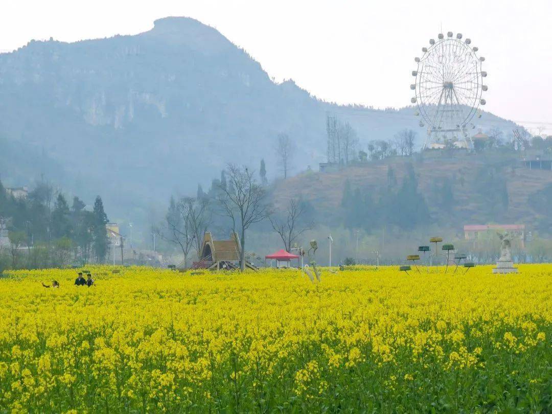 哒啦仙谷旅游景区图片