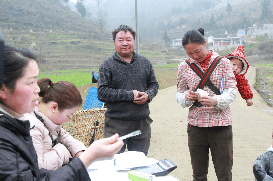 大方县马场镇:春耕备耕时 土地流转忙_种植_村民_示范