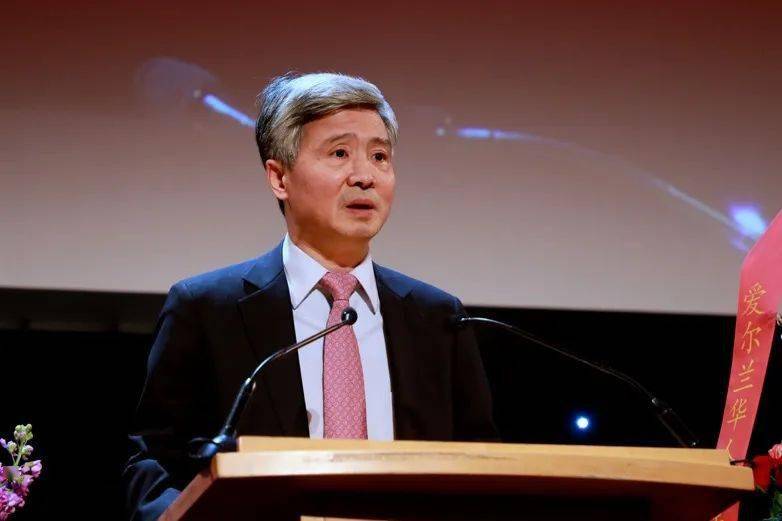 陈华德就任爱尔兰福建总商会第六届会长_向东_发展_欧洲