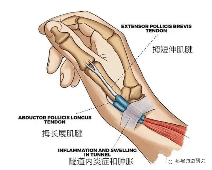 勤勞與愛之名