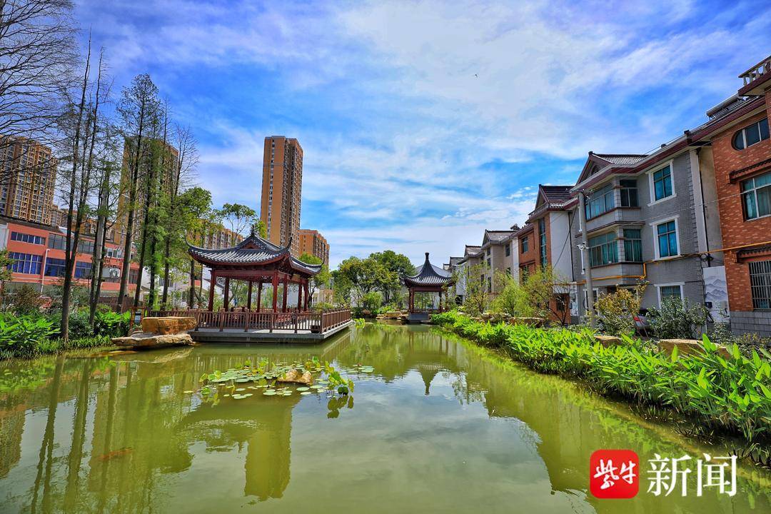 无锡前洲:打造特色田园 全面推进乡村振兴_街道_实践_文明