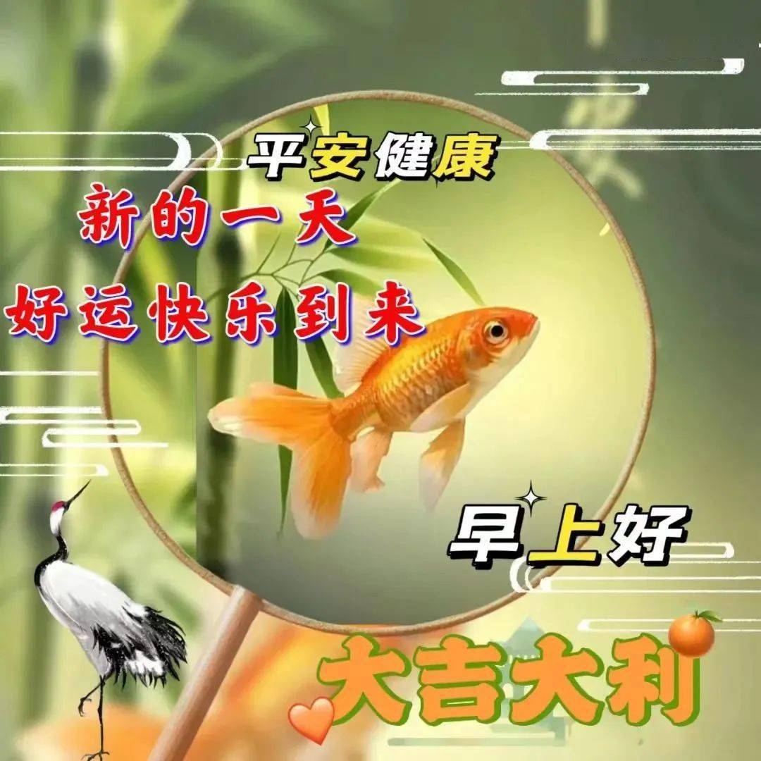 今日最新早上好表情图片大全,愿你心怀暖阳,笑迎春光_人生_朋友_女人