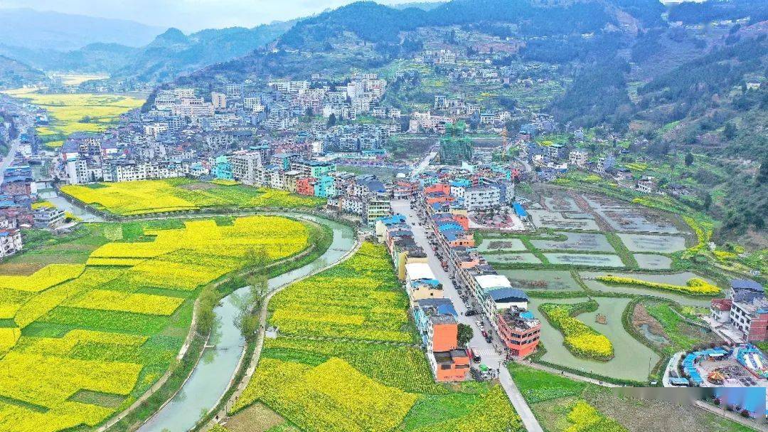 生态古蔺丨花开金灿灿,"画里乡村"油菜花海扮靓生态画卷_双沙镇_坝子