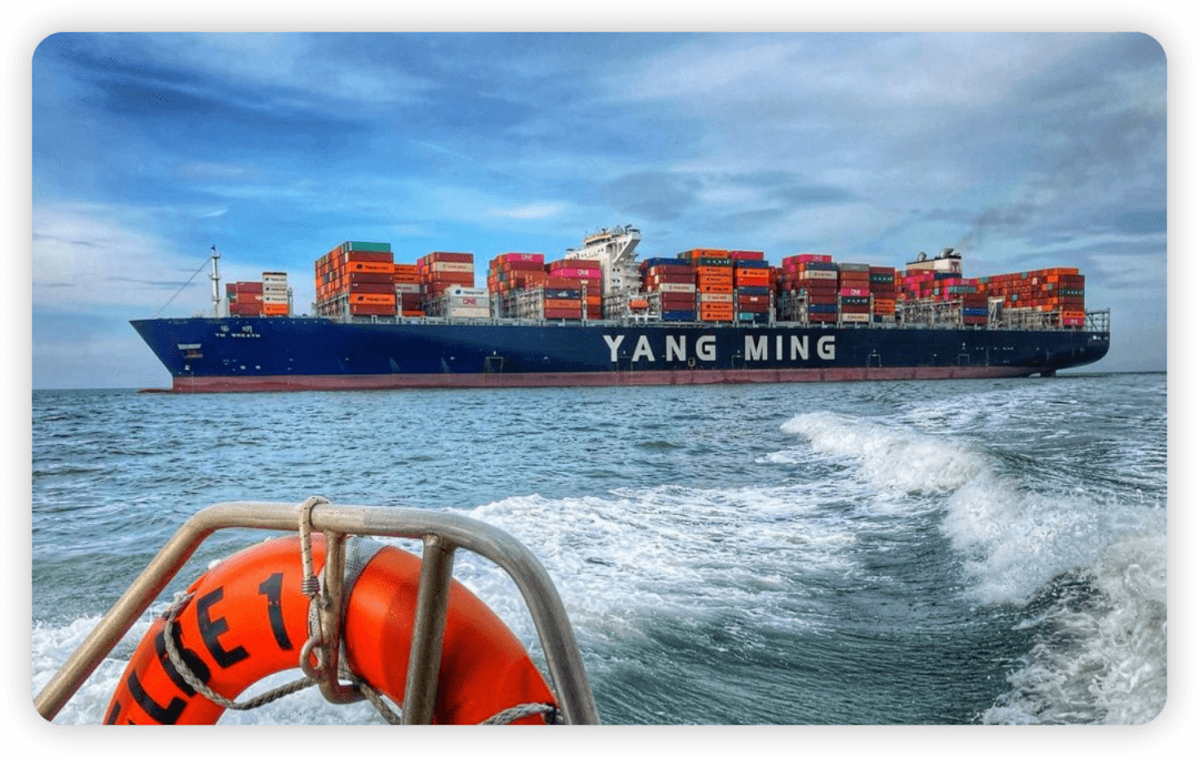 91亿新台币!阳明海运业绩历史新高!