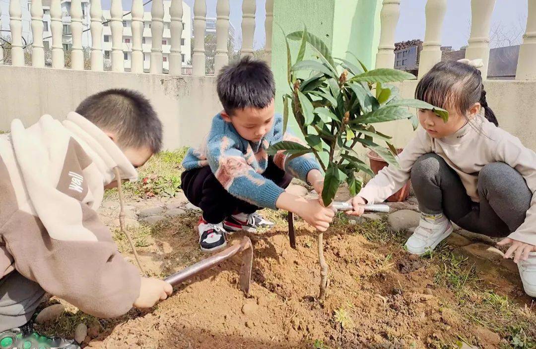 小孩植树照片图片