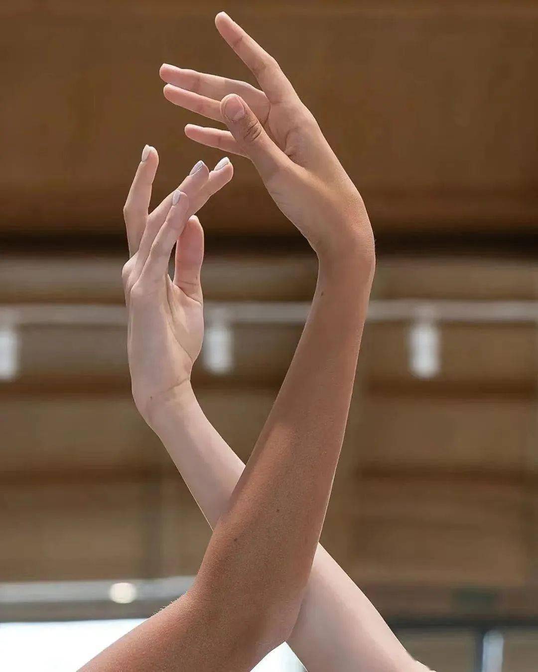 芭蕾舞手指动作图片图片