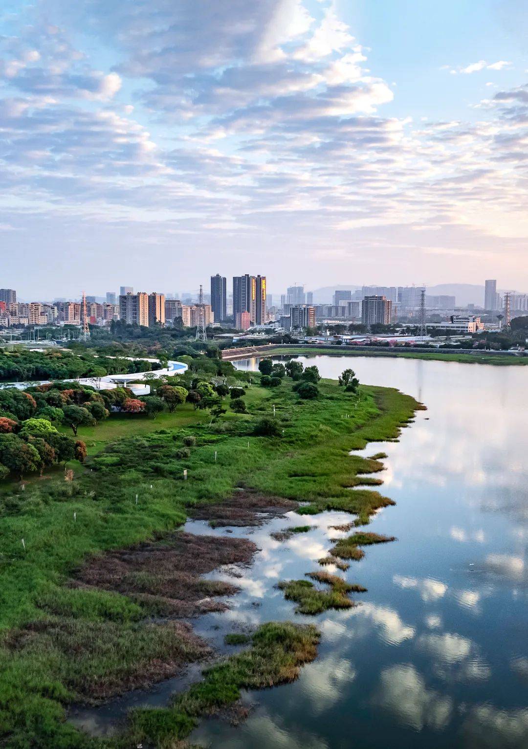 深圳明湖公园 | 奔向最近的诗和远方 | la理事风采_生态_设计的_主题