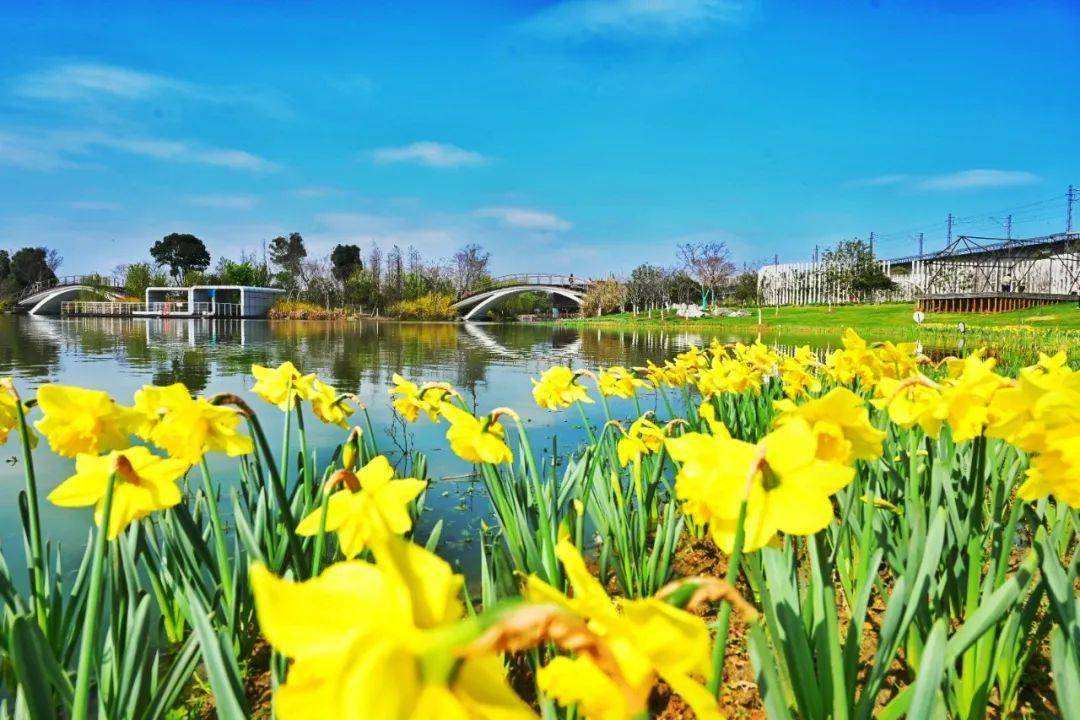 宁波花草批发基地图片