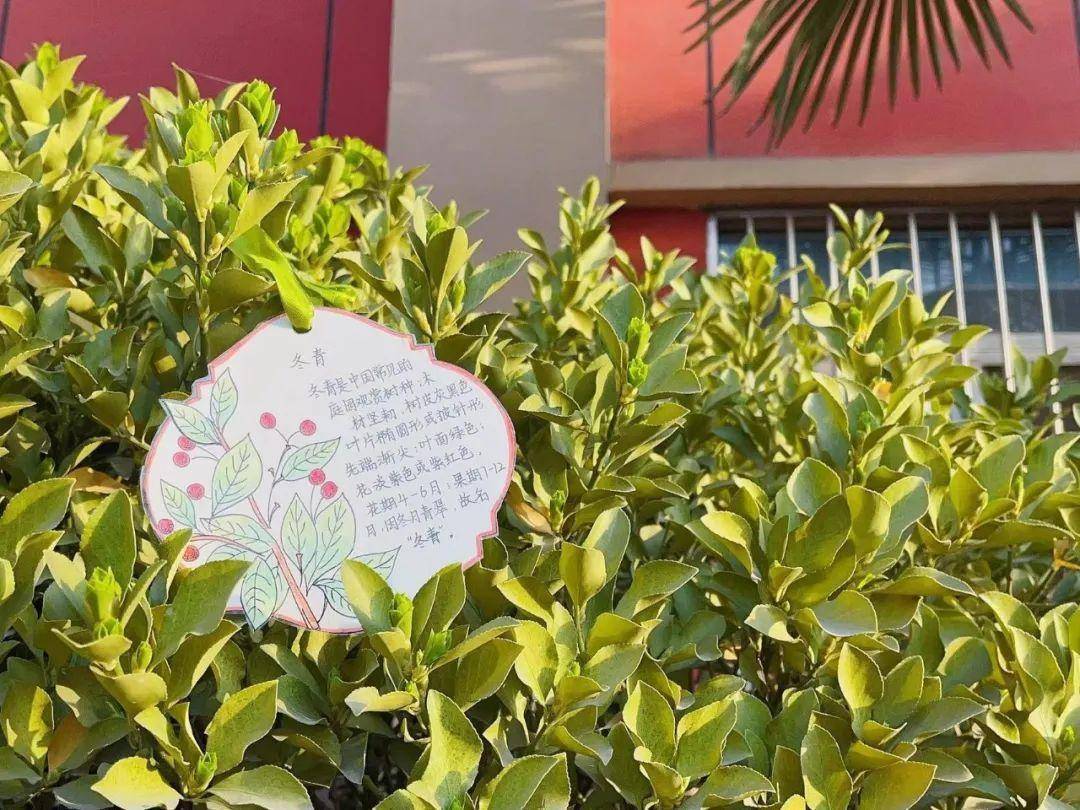 每种植物的"身份证"上面有植物名称,生长特性,分布区域等信息,崭新的