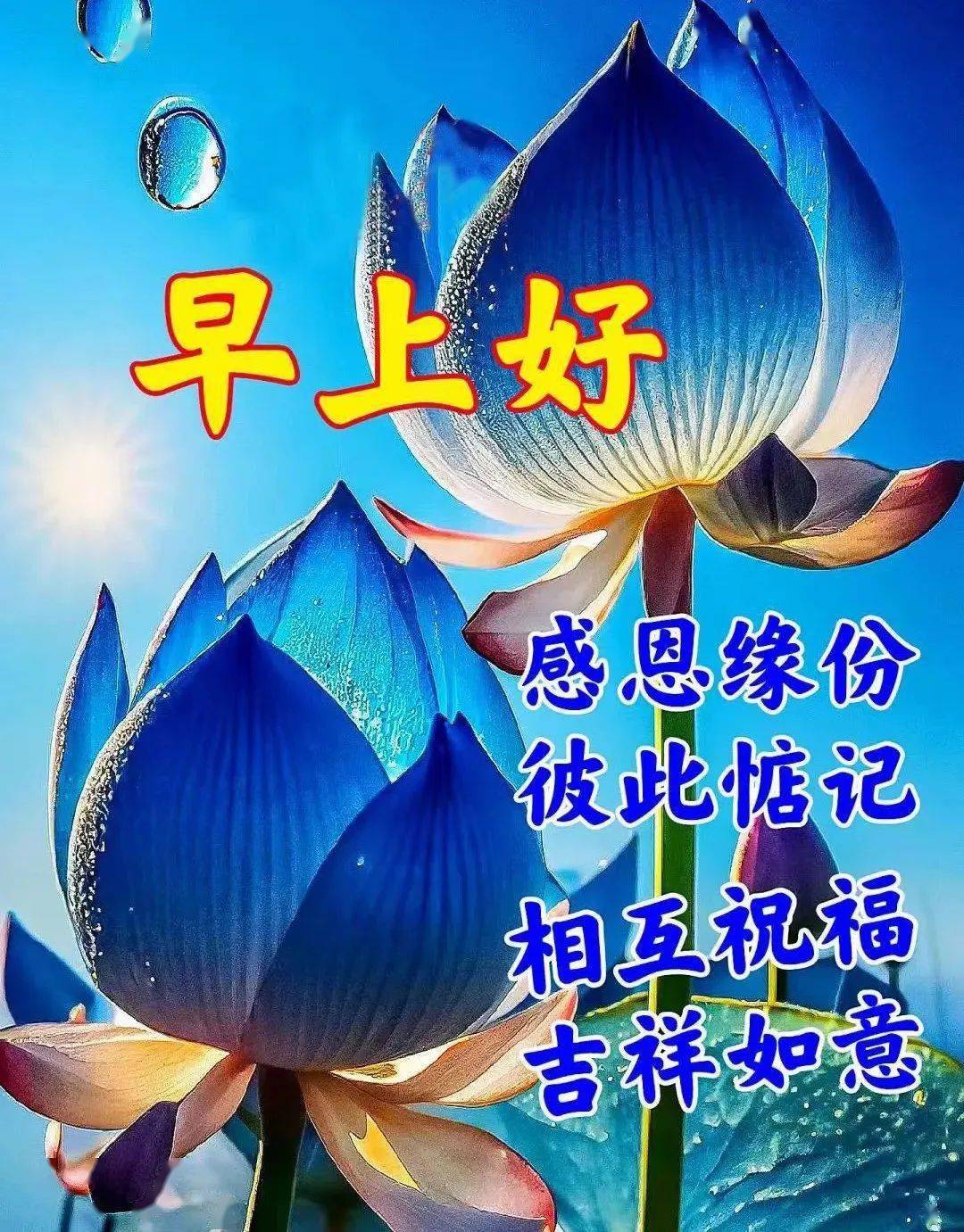 今日早上好漂亮问候祝福图片,美好的一天开始了!_生活_工作_人生