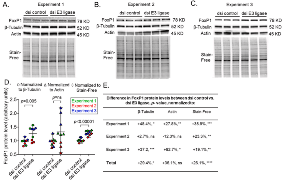 wb 定量不准确?问题竟然出在内参上!