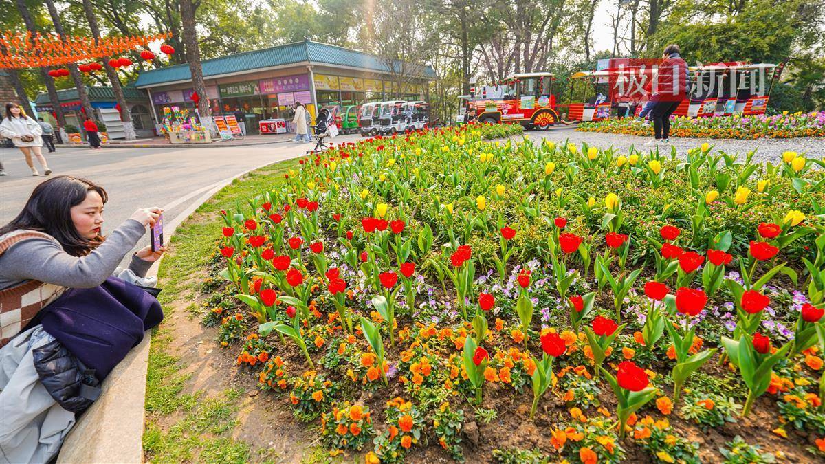 來武漢植物園