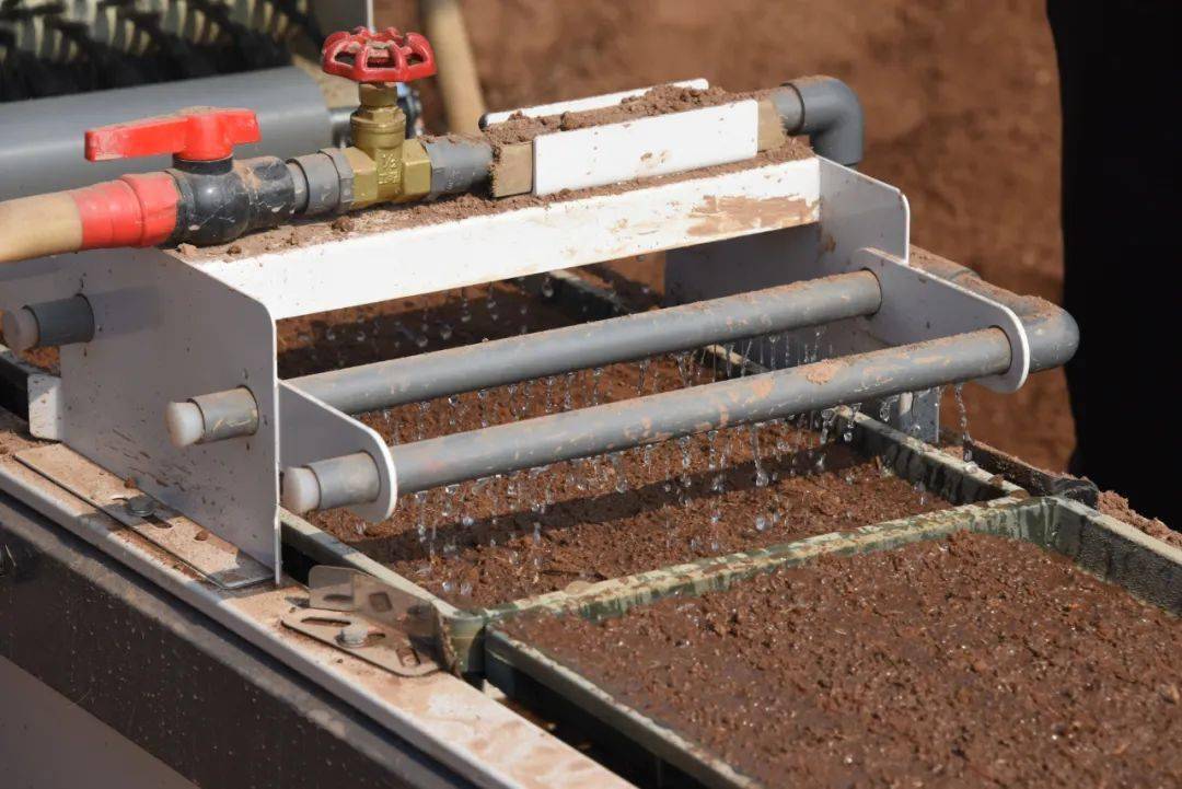 一条水稻育秧生产线正在开足马力运转,工人们有条不紊地在机器上放育