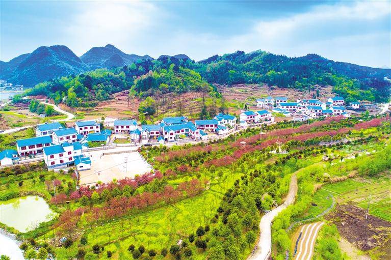 曹经建 摄江界河大桥通车后,瓮安县江界河镇村民黄廷文建起了果园