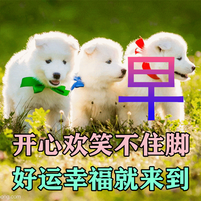 3月15日早上好祝福短句,2023春天特别漂亮风景早安动图_生活_亲爱的