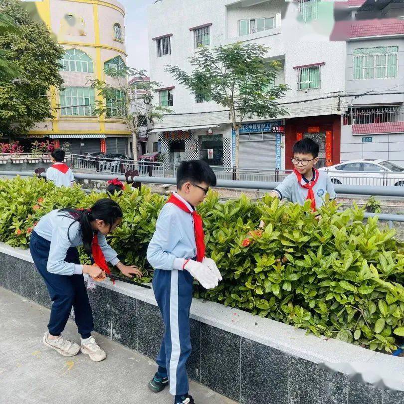 争创文明典范城市|小榄"河小青"出动 守护美丽河湖_活动_服务_社区