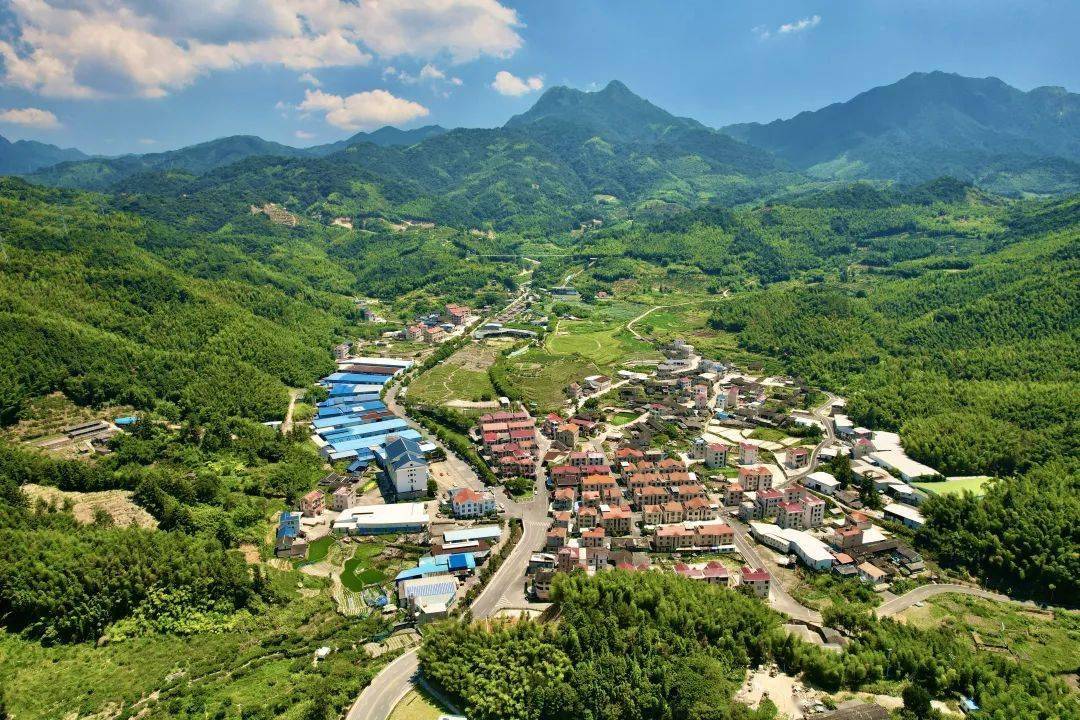 【争当排头兵"6 1"专项行动】小池镇培斜村:实地调研科学规划,打好