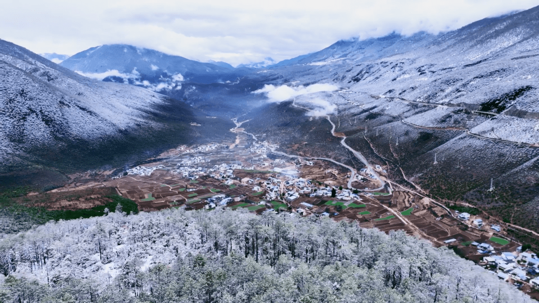 香格里拉尼西汤堆:雪花与桃花同框出镜_迪庆_现实_成为了